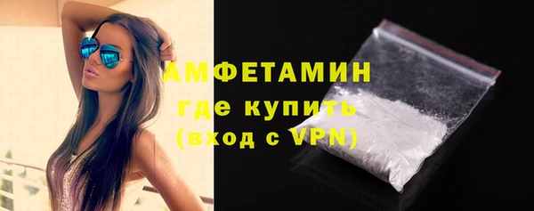 амф Горняк