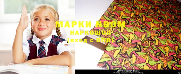 амф Горняк