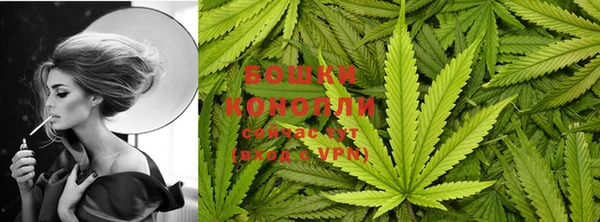 мяу мяу мука Горно-Алтайск
