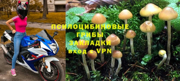 мяу мяу мука Горно-Алтайск