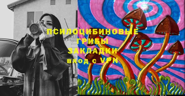 мяу мяу мука Горно-Алтайск