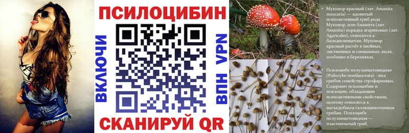 Галлюциногенные грибы GOLDEN TEACHER  Кашира 