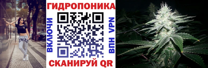 где найти наркотики  Кашира  сайты даркнета Telegram  Бошки Шишки VHQ 